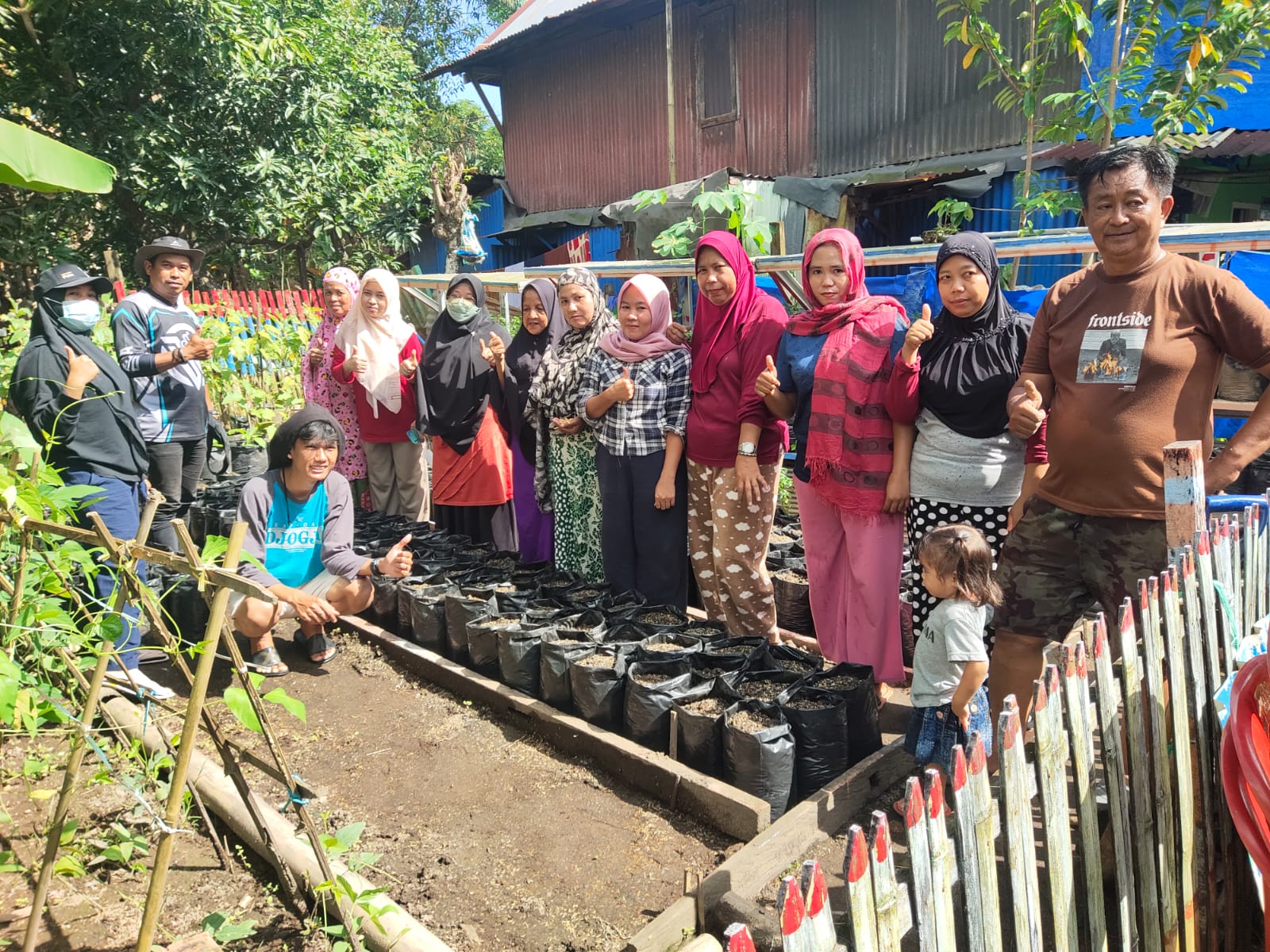 KWT BORONG JATIA MELAKSANKAN GERAKAN TERUS MENANAM